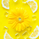 Vibrant yellow lemon citrus slice background with ice cubes, flowers - PhotoDune Item for Sale