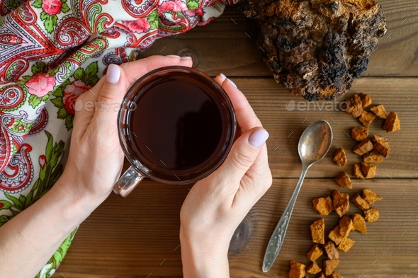 chaga tea mushroom from birch tree using for healing tea or coffee in folk medicine