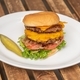 Cheeseburger on white plate  - PhotoDune Item for Sale