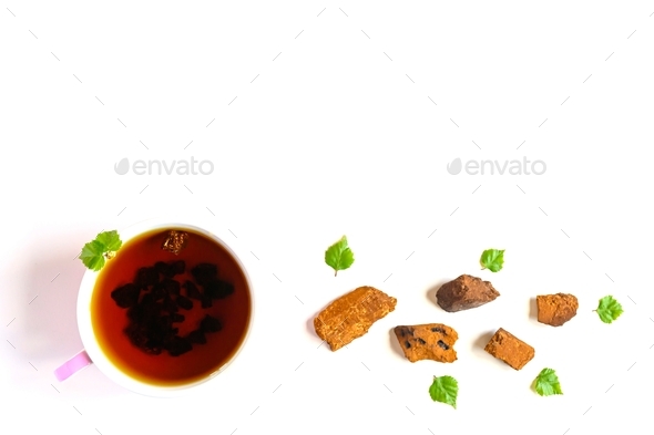 Cup of tea of birch chaga mushroom and crushed chaga fungus pieces for tea brewing isolated on white
