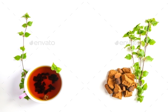 Cup of tea of birch chaga mushroom and crushed chaga fungus pieces for tea brewing isolated on white