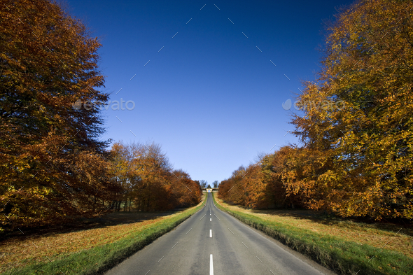 Country road in Autumn.