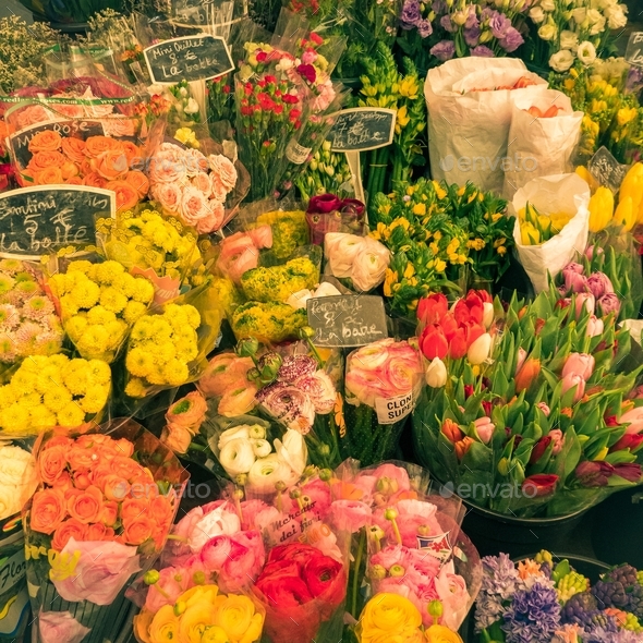 spring flowers in Paris - Stock Photo - Images