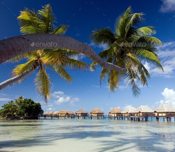 South Pacific island of Mahini - French Polynesia