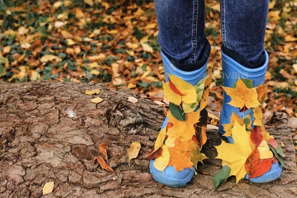 Blue rain boots with autumn colorful leaves on rustic background. Autumn mood, fall concept. N