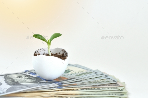 Financial growth concept- A sprout growing out of an eggshell on a stack of cash dollars bills