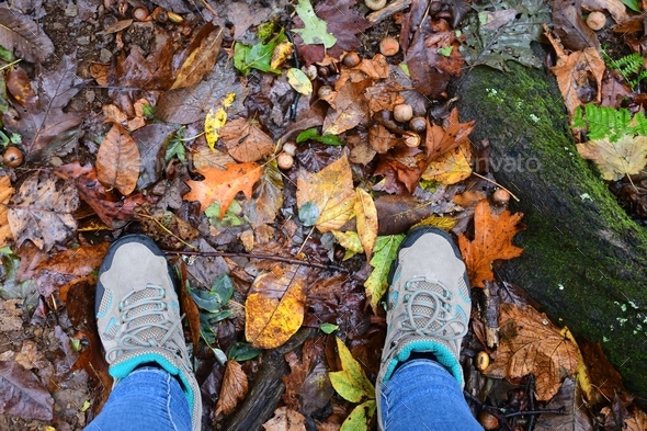 Looking down at my boots as I head off on my first hike in woods on autumn day fall foliage leaves