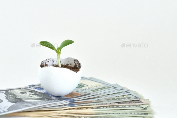 Financial growth concept- A sprout growing out of an eggshell on a stack of cash dollars bills