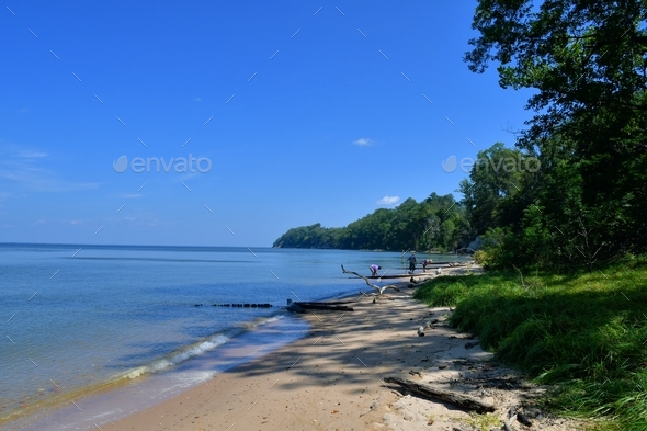 The shoreline or coastline of the Potomac River on Virginia's Northern Neck. - Stock Photo - Images
