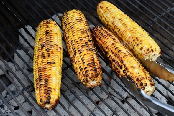 Using tongs to pick up grilled corn on the cob that have been cooking ...