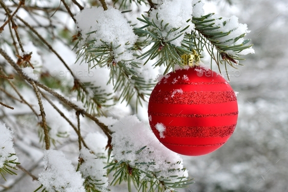 Red glitter Christmas ornament hanging in an evergreen tree on a snowy ...