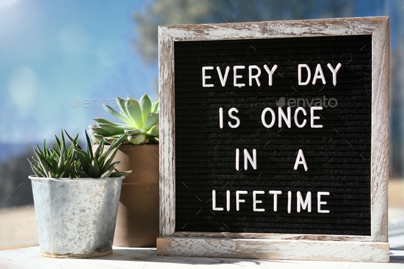 Every Day is Once in a Lifetime, inspirational quote on message board sign next to window succulents