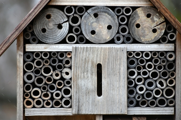 Closeup of an insect bug hotel house built in a garden for bugs insects to live in and reproduce.