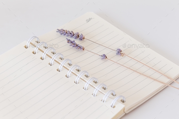 Old fashioned vintage notebook with dried lavender flowers, empty space for the text