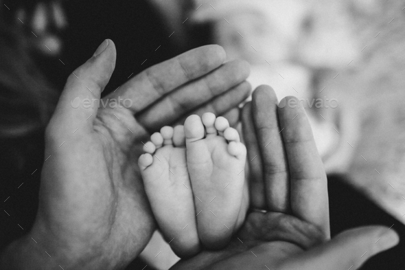 Baby B Stock Photo By Katerina_zhiltsova | PhotoDune