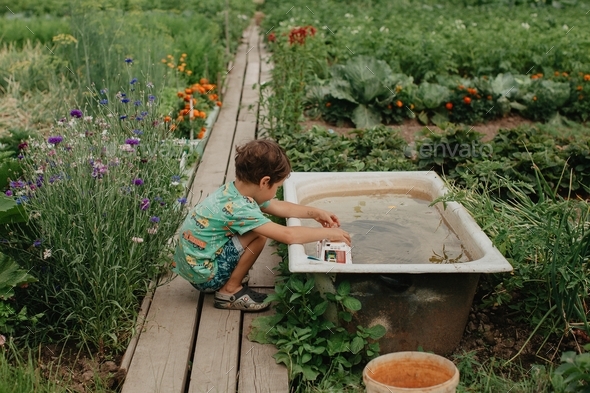 A boy in the kitchen garden play with water