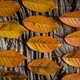 Yellow autumn leaves  - PhotoDune Item for Sale