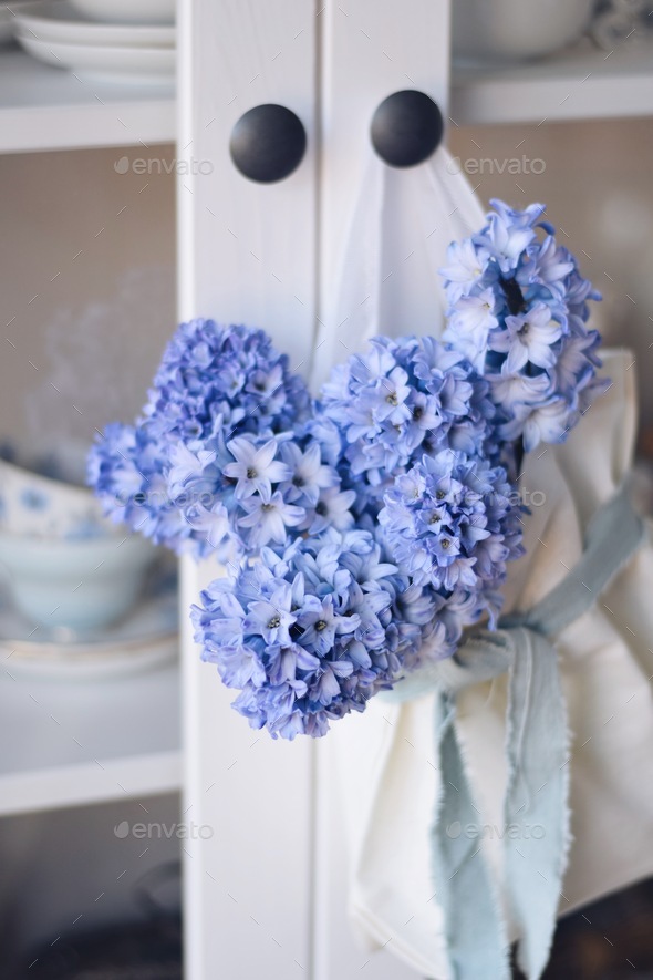 Beautiful blue hyacinth flowers in a white linen bag hanging from a glass china cabinet knob