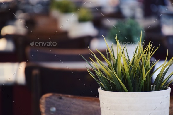 An artificial plant on a table of an empty outdoor cafe or restaurant  - Stock Photo - Images