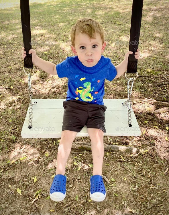 Cute Little boy making goofy face playing outside in his tree swing
