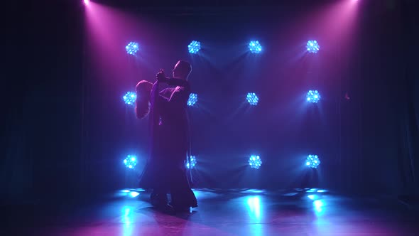 A Romantic Couple in Elegant Outfits Is Dancing the Waltz. Silhouettes of a Tender Couple of Dancers alt