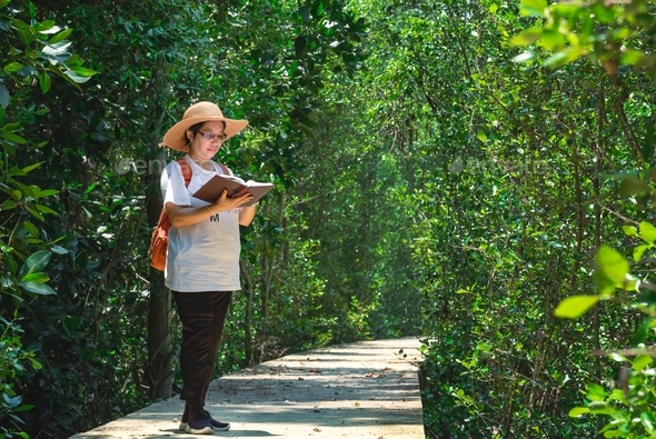 Female tourist taking notes on walkway during ecotourism in mangrove forest at natural parkland