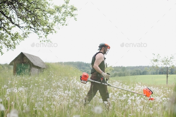 Man mowing tall grass with petrol lawn trimmer in the garden or backyard. Process of lawn trimming