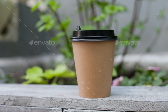 A paper coffee cup near green plants on a terrace, coffee break, cafe ...