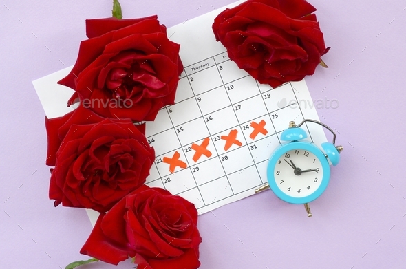 Blue alarm clock and red rose flowers on menstrual period calendar with red cross marks