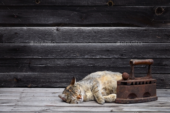 ancient - Stock Photo - Images