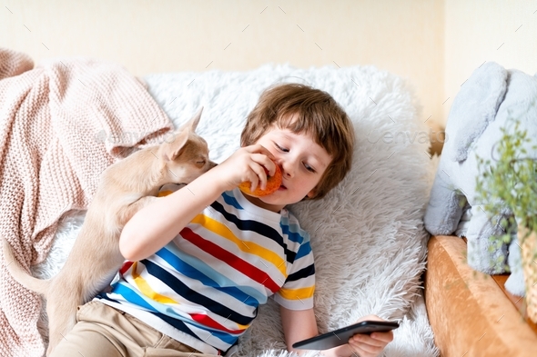 Kid watch video with apple and puppy - Stock Photo - Images