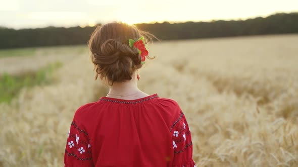 Slow-motion. Walking behind beauty girl in wheat field. Stopping and letting her alt