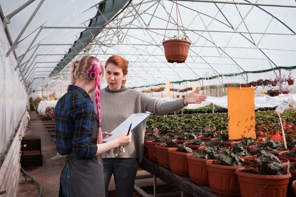 Women having a talk in greenhouse