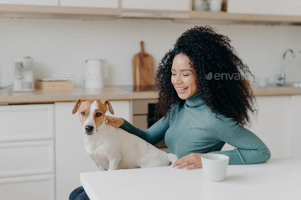 Playful woman with Afro haircut, pets her breed dog, have fun together, pose in cozy kitchen