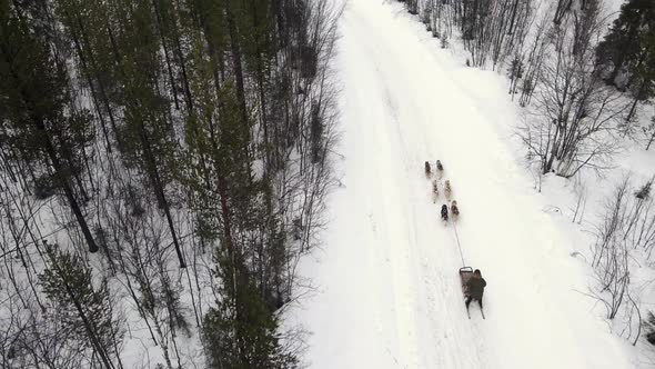 Drone Aerial View of Dogsledding Handler with Team of Trained Husky Dogs Mountain Pass Husky Dog alt