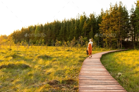 Woman naturalist walking on path through peat bog swamp on ecological hiking trail at sunset.