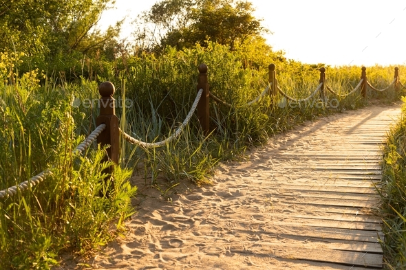 Ecological hiking trail in national park through sand dunes beach sedge. Wooden path