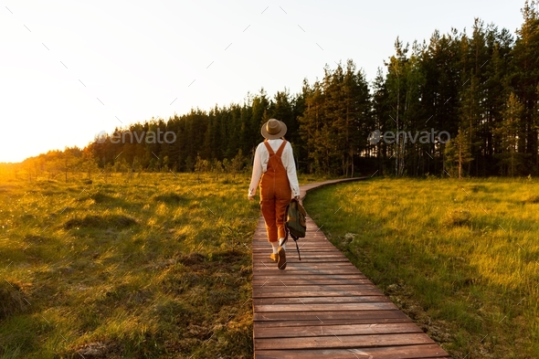 Woman naturalist walking on path through peat bog swamp on ecological hiking trail at sunset.