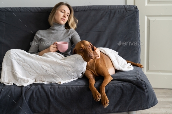 Frustrated adult woman avoid social contacts at home with dog after friend betrayal, lover breakup