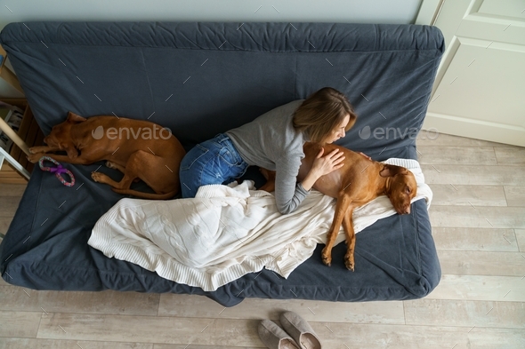 Unhappy tired woman wake up from sleep with two dogs on couch after breakup with lover or betrayal