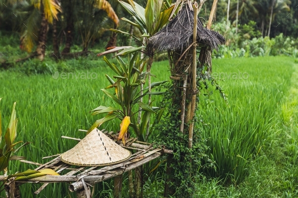 Balinese traditional straw hat on wicker bench in rice field - Stock Photo - Images