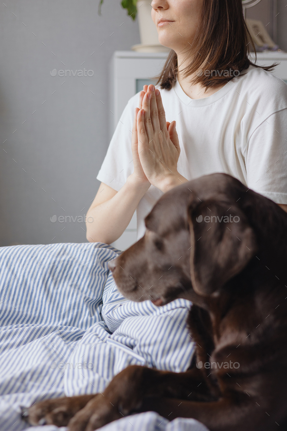 woman meditates after sleeping in bed with her Labrador retriever dog. the mental state and mental