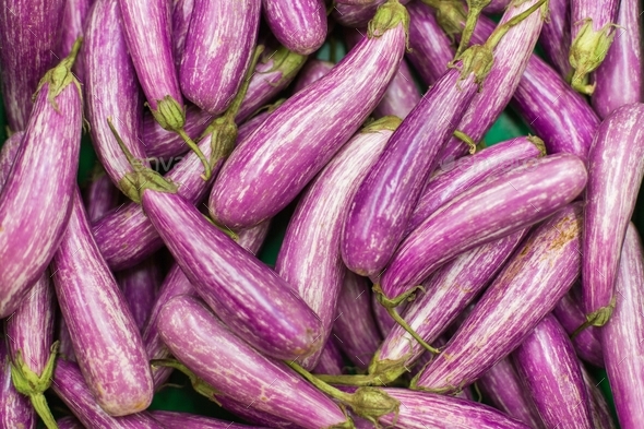 Purple Striped eggplant also known like Graffiti, Purple Rain, Shooting Stars, Pandora