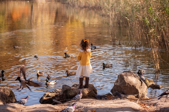 Little girl in yellow dress, brown boots feeds bread to ducks, pigeons, varon by the pond in autumn