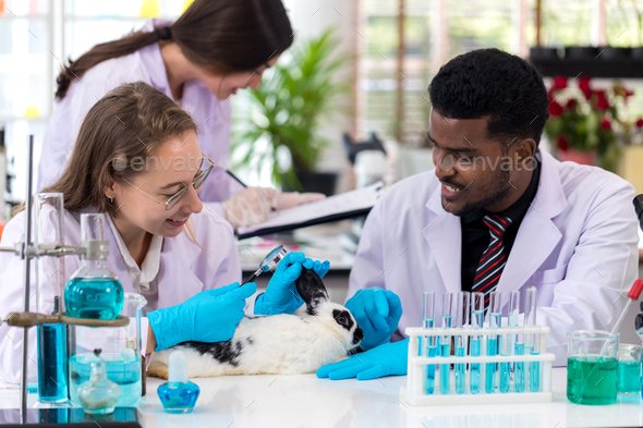 Scientist or pharmacist do research chemical ingredients test on animal in laboratory.