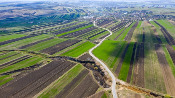  Flying Over Agricultural Fields of Plowed Crop alt