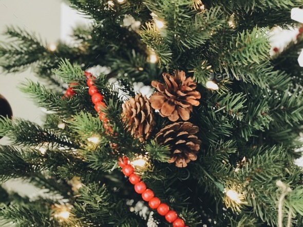 White lights, pine cones, and a string of red beads simply decorated a Christmas tree - Stock Photo - Images