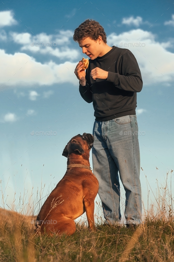 a young guy on a walk with a dog at sunset eats fast food