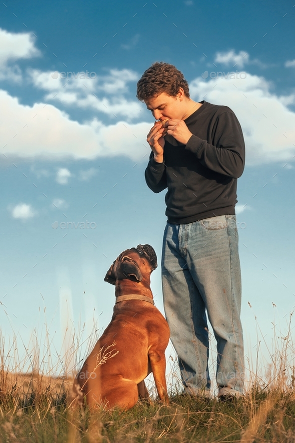 a young guy on a walk with a dog at sunset eats fast food