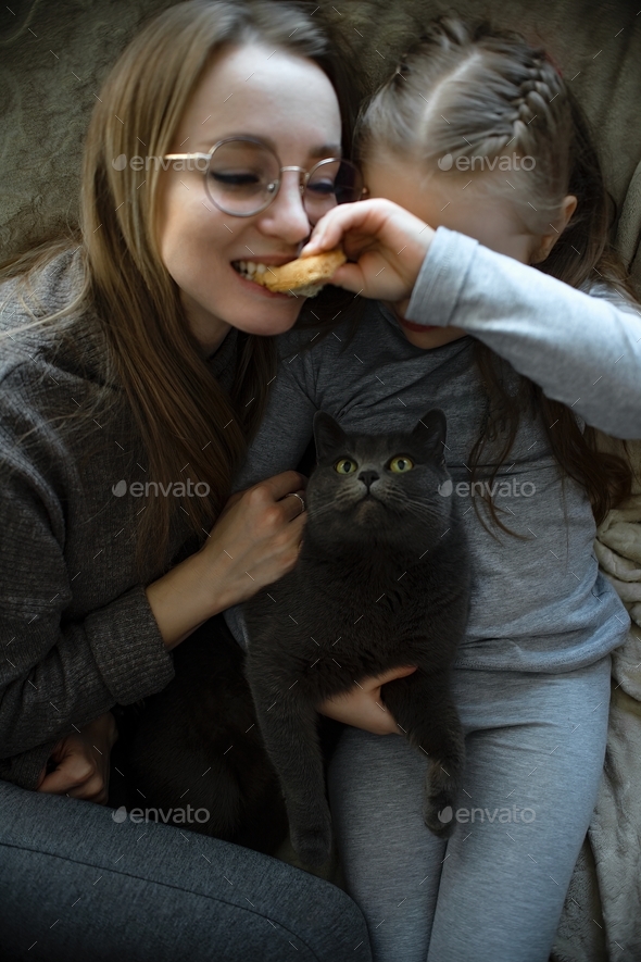 family together with a domestic cat have fun